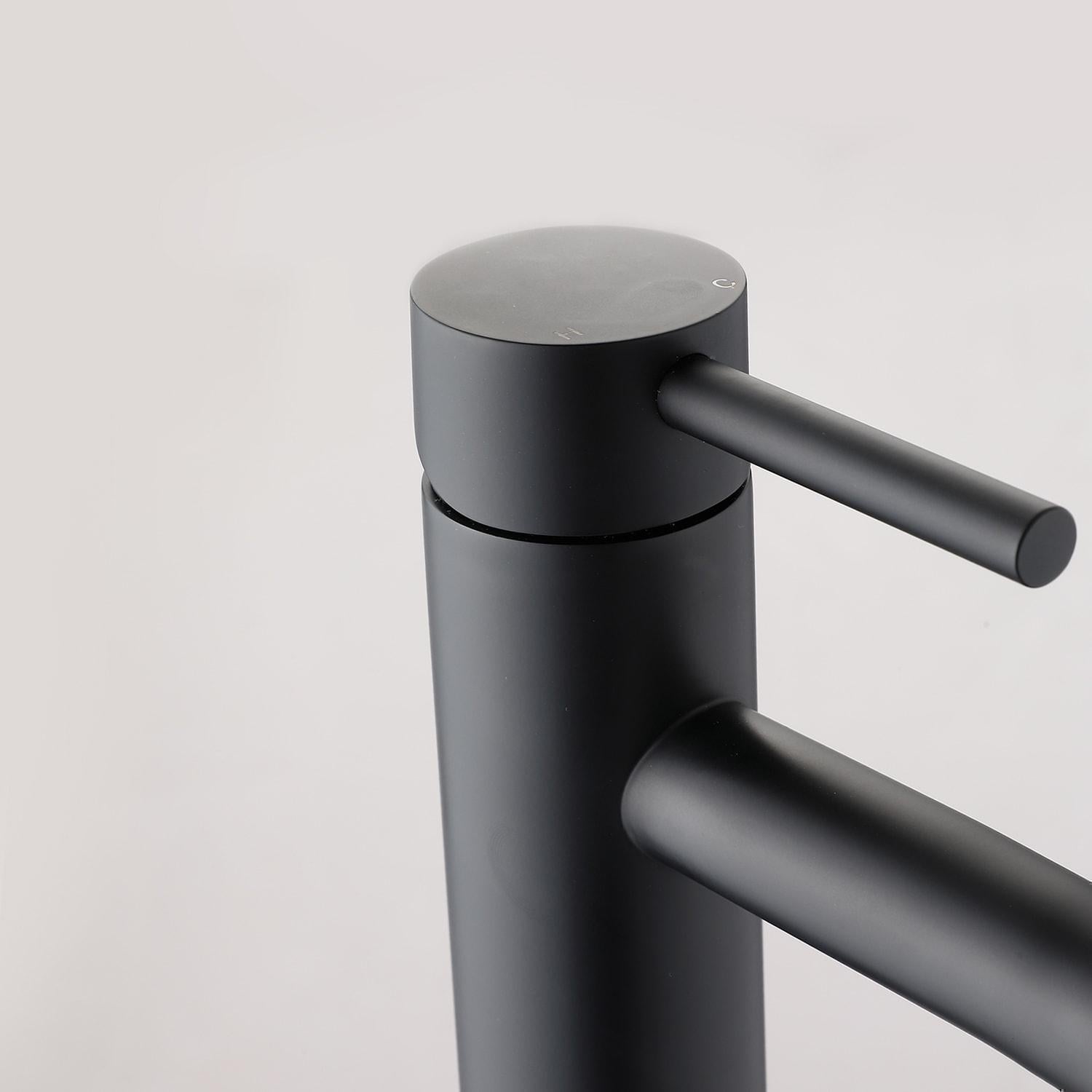 Matte Black Single-Handle Sink Faucet