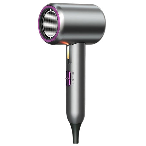 2400W Ionic Hair Dryer Blue Light