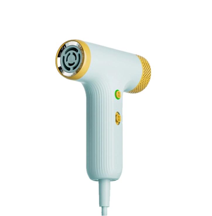 1000W DC Ionic Hair Dryer Ultra-Fast